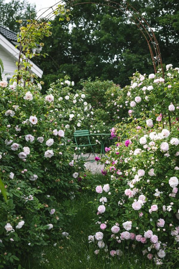 Vallby Cottage 恩科平 外观 照片