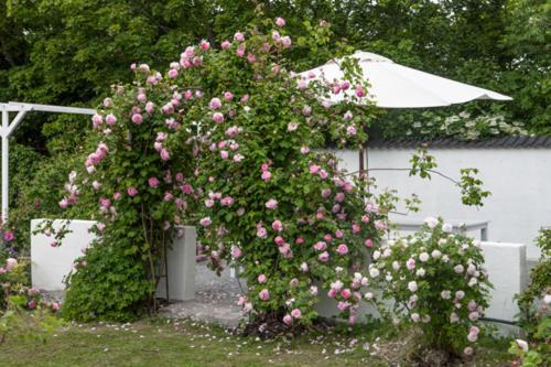 Vallby Cottage 恩科平 外观 照片