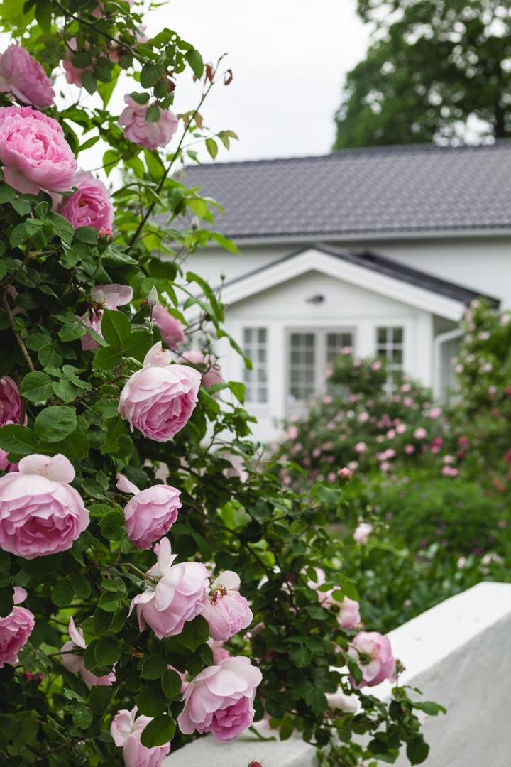 Vallby Cottage 恩科平 外观 照片
